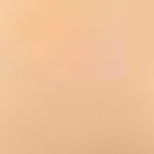 Load image into Gallery viewer, Saint Minerals Liquid Minerals - Shade 1